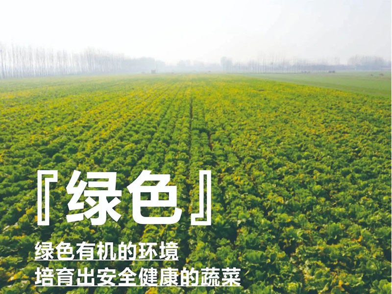 ������ũ�����������ж�