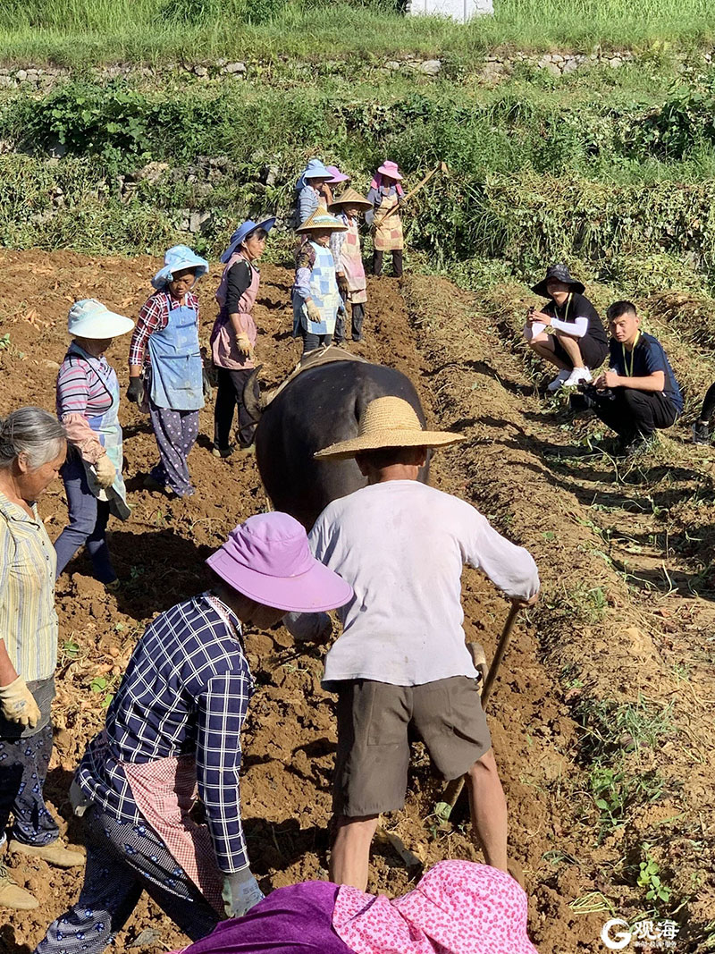 �𾢼����ൺ�з�ƶЭ���˶�