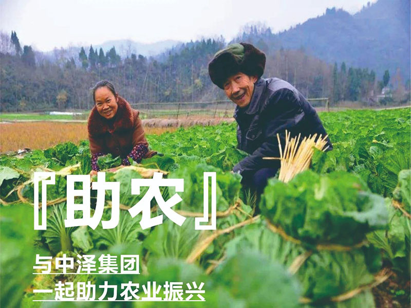 ?������ũ�����������ж�